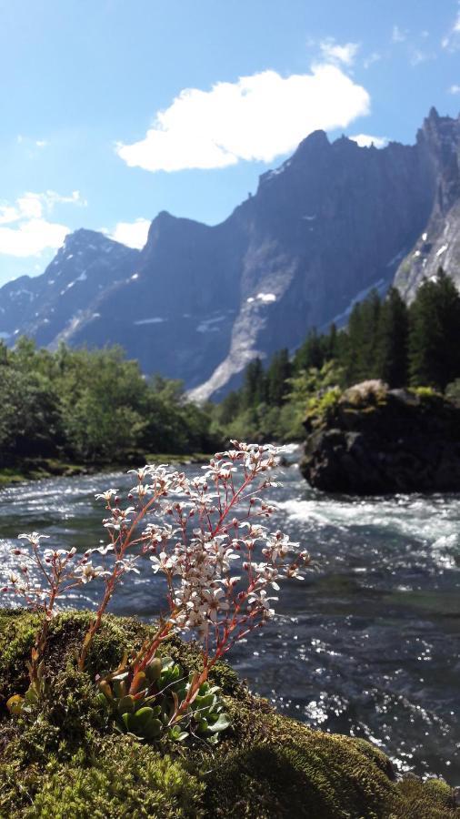 Trollveggen Camping Villa Åndalsnes Exteriör bild